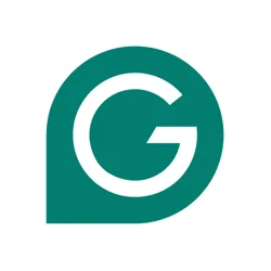 Essential Grammarly Feedback Report: Insights & Trends
