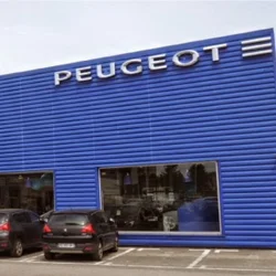 Unlock Insights with Our PEUGEOT COMPIEGNE Customer Feedback Analysis