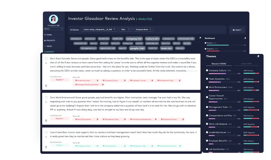 Sentiment and Themes with Aspect-Based Accuracy