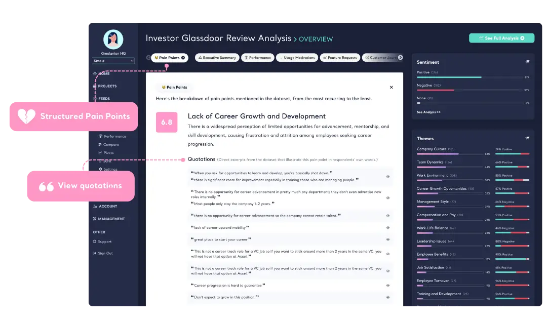 Summaries, Pain Points, Motivations and more