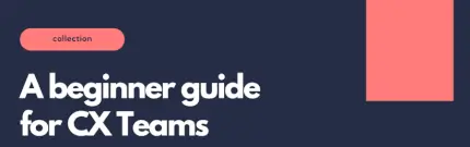 A Beginner Guide for Customer Experience Teams