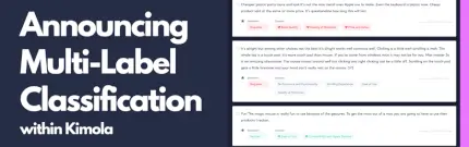 Announcing Multi-label Classification for Customer Feedback Analysis