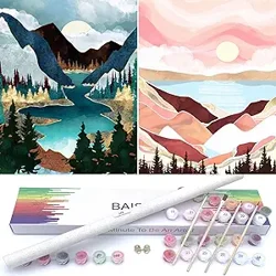 Mixed Reviews for Baisite 1112 Paint by Numbers Kit