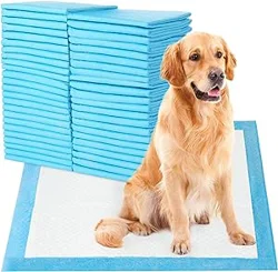 Affordable and Quick-absorbing Puppy Pads with Some Limitations