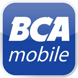 BCA Mobile App: User Frustrations and Usability Concerns