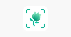 Picture This: A Powerful Plant Identification App