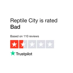 Reptile City Review Summary: Scam Allegations, Undelivered Orders, and Poor Service