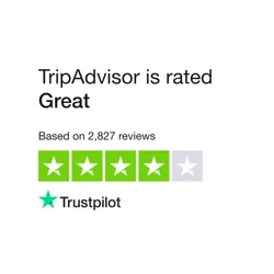 TripAdvisor: Valuable Travel Resource with User Concerns