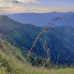 Experience the Natural Beauty of Thong Pha Phum National Park