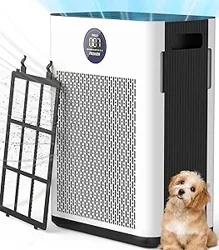 FRESHDEW Air Purifier: Effective, Quiet, and Affordable Solution for Home Air Quality