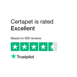 Certapet Feedback Report: Insights and Analysis