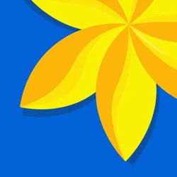 Unlock Insights: Gallery App Review Analysis Report