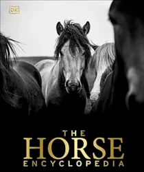 Discover the Beauty of Horses: An Illustrated Guide Review