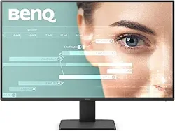 Exclusive BenQ GW2791 Monitor Review Analysis