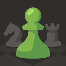 User Insights on the 'Chess - Play and Learn' App: Praise and Concerns