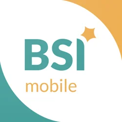 Insightful BSI Mobile App User Feedback Report