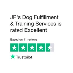 Exceptional Dog Training Services with JP: Professionalism, Knowledge, and Transformation