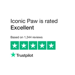Iconic Paw Customer Feedback: Excellence in Pet Portraits