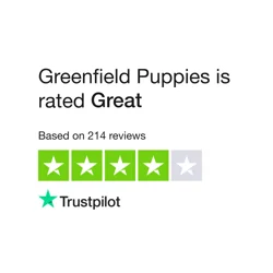 Greenfield Puppies: Mixed Reviews Highlight Breeder Experiences