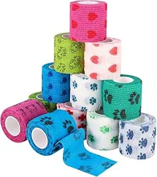 Discover Essential Insights from Pet Bandage Customer Reviews