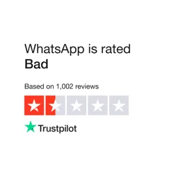 Unlock Insights: WhatsApp Feedback Analysis Report