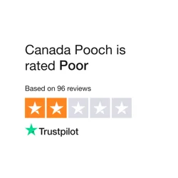 Canada Pooch Customer Feedback Analysis