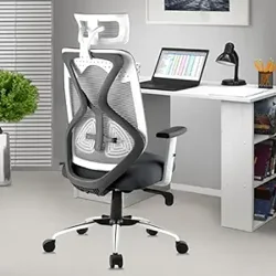 Positive Reviews for ASTRIDE Ergofit Ergonomic Office Chair