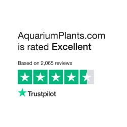 Positive Reviews Highlighting Excellent Plant Quality & Customer Service at AquariumPlants.com