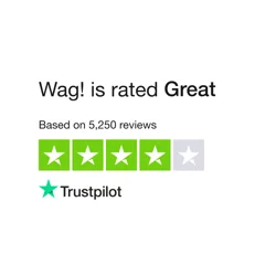 Mixed Reviews on Wag! Services: Reliable Walkers, Caring Service, but Customer Support Concerns