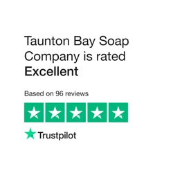 Discover Insights from Taunton Bay’s Customer Feedback Report