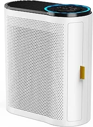 Mixed Feedback on AROEVE Air Purifier for Large Rooms