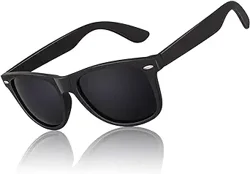 LINVO Polarized Sunglasses for Men: Quality and Value Overview