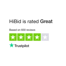 Insights on HiBid Platform from User Reviews