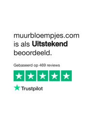 Muurbloempjes.com: Exceptional Quality and Service Highlighted in Reviews