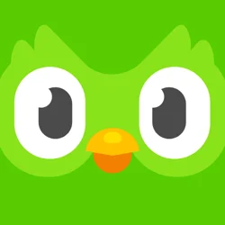 Duolingo Reviews: Engaging Language Learning with Room for Improvement