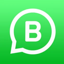 WhatsApp Business Update Concerns and User Feedback