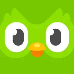 Duolingo: Language Lessons - Customer Satisfaction and Improvement Suggestions