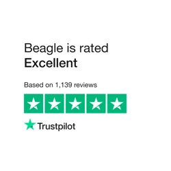 Beagle Customer Service Excellence in Financial Support