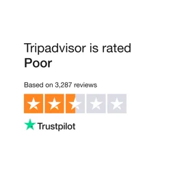 Mixed Feedback on Tripadvisor: Praise for Travel Assistance, Criticism for Response to Complaints and Fake Reviews