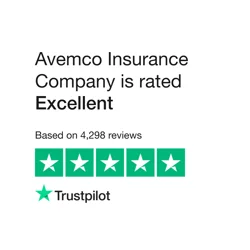 Elevate Your Business with Avemco Customer Insights