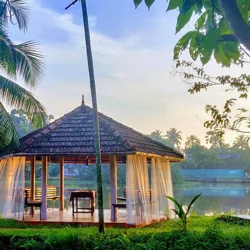 Mixed Reviews for 'Sunsets and Palm Trees' Highlight Strengths and Weaknesses