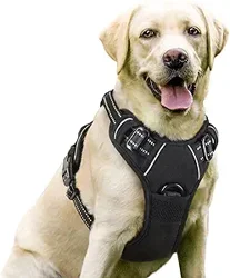 Rabbitgoo Dog Harness: Comfortable Fit but Durability Concerns