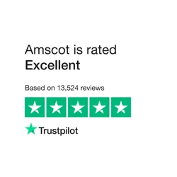 Amscot: Excellent Customer Service and Efficient Financial Assistance