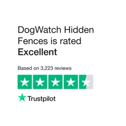 DogWatch Hidden Fences: Professional Installation & Effective Training for Pet Safety