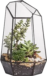 Unlock Customer Insights: NCYP Glass Terrarium Analysis