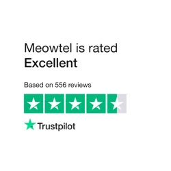 Meowtel: Mixed Reviews on Cat Sitting Service and Sitter Screening