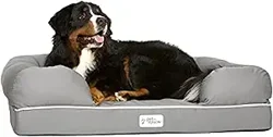 Uncover the Truth: PetFusion Dog Bed Review Analysis