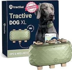 Tractive XL GPS Dog Tracker: Exceptional Battery Life and Accurate Tracking