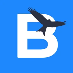 Summary of User Feedback for Birda - Bird ID & Birding App