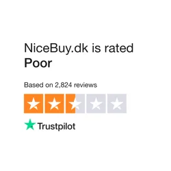 Mixed Reviews Highlighting Long Delivery Times and Customer Service Issues at NiceBuy.dk